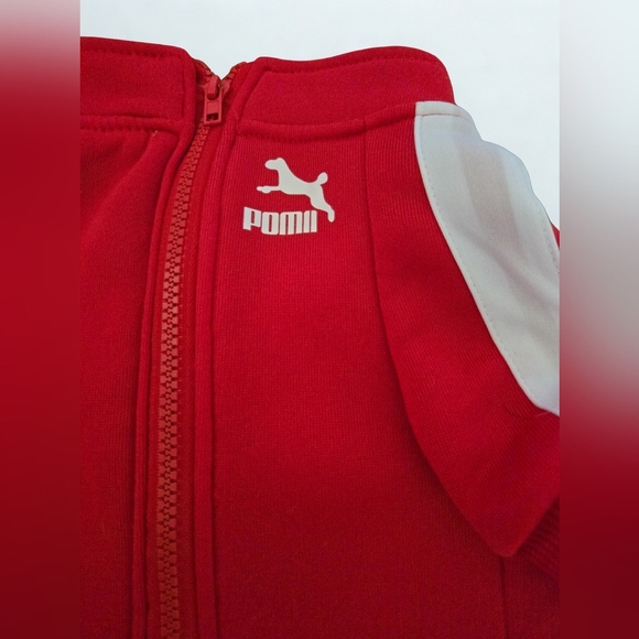 Red Baseball Dog Jacket Fall Winter Jacket Small-med Zip Up - Picture 2 of 6